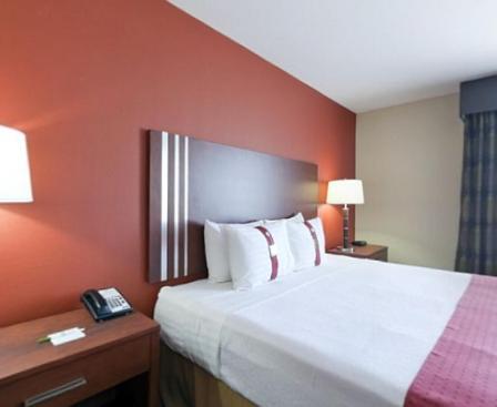 Holiday Inn Austin North By Ihg Round Rock Phòng bức ảnh